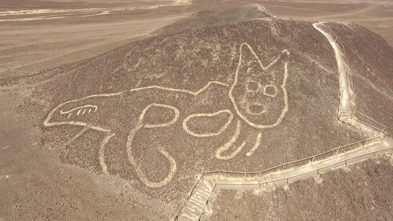Obrazec kočky na planině Nazca