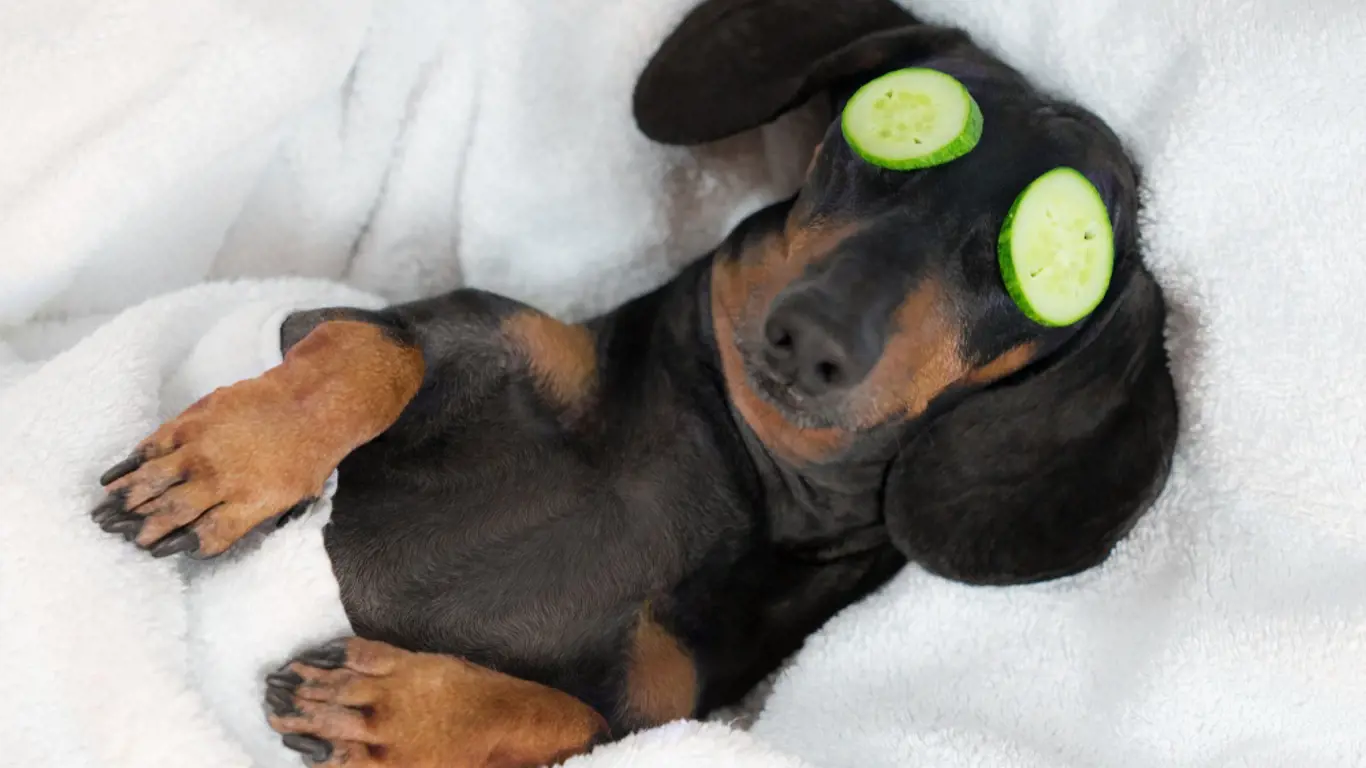 Relax je v životě důležitý