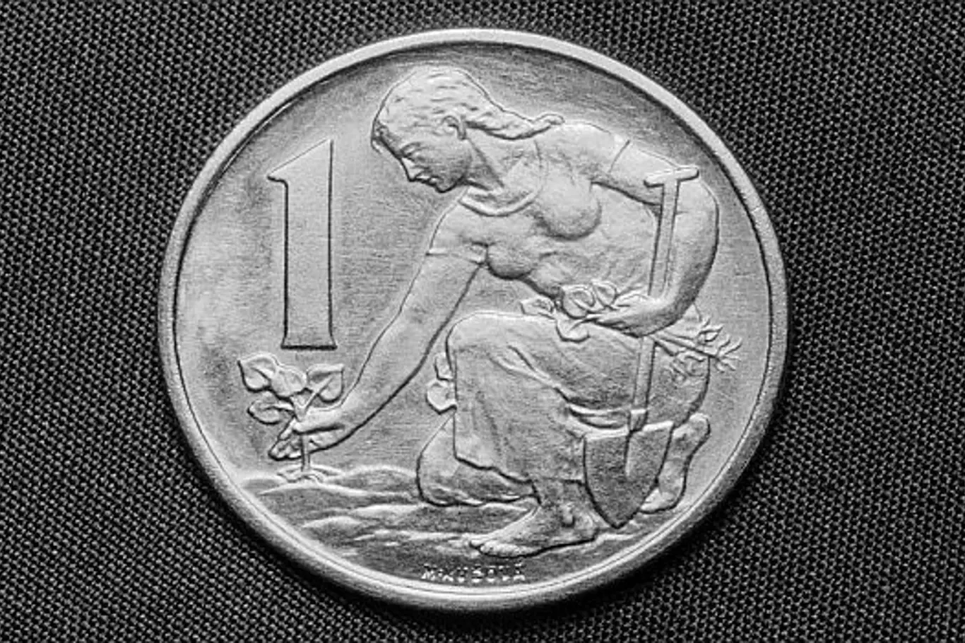 50-liber-na-koruny-kolik-dostanu