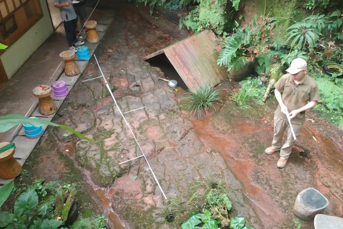 Dinosauří stopy v restauraci