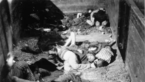 Těsně před branami Dachau Američané objevili vlak plný vyhublých mrtvých těl. Těsně před branami Dachau Američané objevili vlak plný vyhublých mrtvých těl.