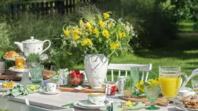 Zahradní slavnost podle značky Villeroy & Boch. Zahradní slavnost podle značky Villeroy & Boch.