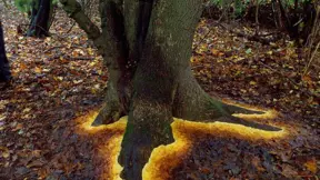 Neuvěříte, že jsou tyto fotografie reálné a bez jediné úpravy! Neuvěříte, že jsou tyto fotografie reálné a bez jediné úpravy!