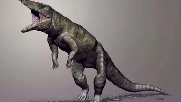 Řezník z Karolíny: Toto obří monstrum terorizovalo svět ještě před dinosaury. Nebylo před ním úniku