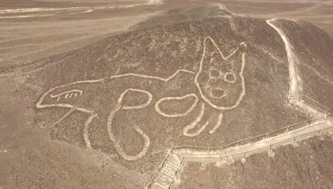 Obrazec kočky na planině Nazca
