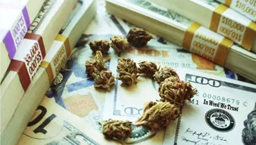 Mexiko v boji proti gangům legalizuje marihuanu. Kalifornie na tom vydělá