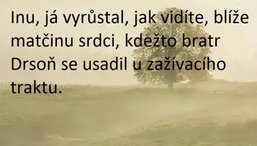 Nejlepší hlášky Járy Cimrmana. Tohle neomrzí nikdy! POBAVTE SE
