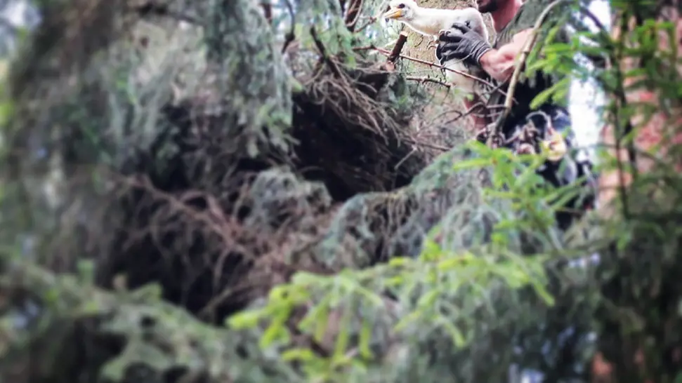 Povoláním je arborista, pečovatel o stromy, jezírka jsou koníček.